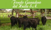 FONDO GANADERO DEL HUILA